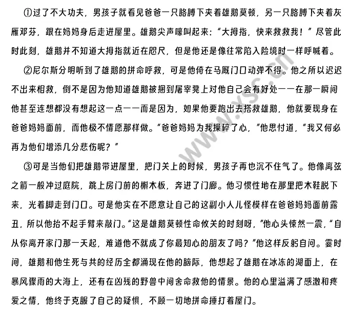 骑鹅旅行记 (1).webp