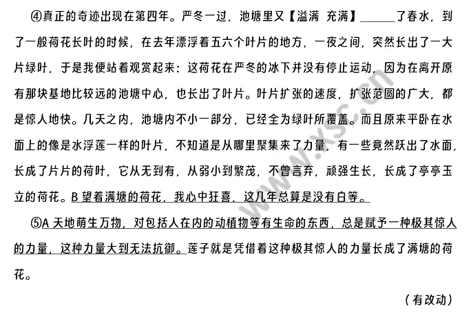 荷塘清韵（节选） (2).webp