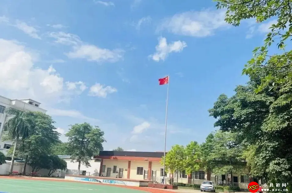 www.xsc.cn_860.webp