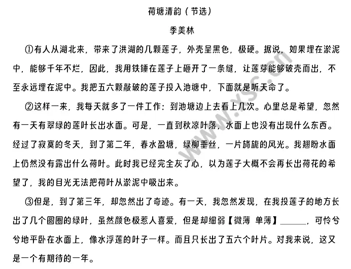 荷塘清韵（节选） (1).webp