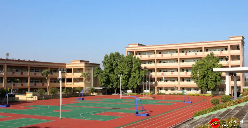 2024年东莞市茶山新华学校春季招生简章(附收费标准)