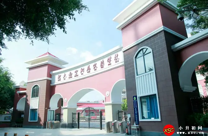 www.xsc.cn_1260.webp