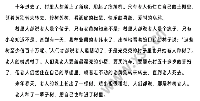 种树老人 (2).webp