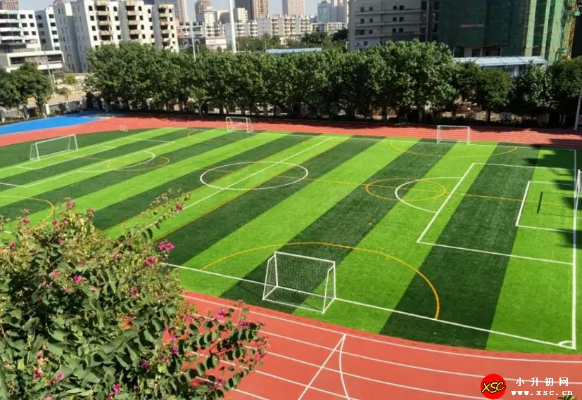 2024年中山市蓝波湾学校春季插班生招生简章(附收费标准)