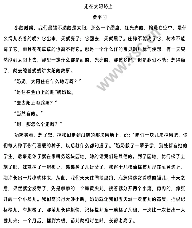 走在太阳路上 (1).webp