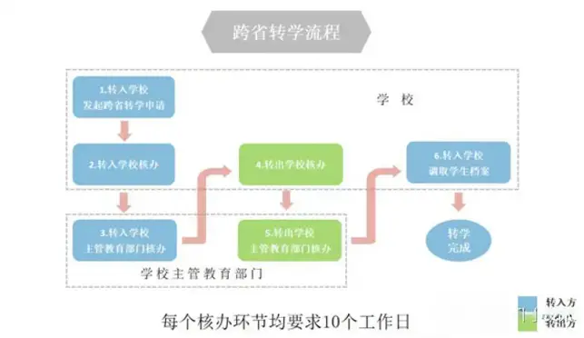 XSC31.webp