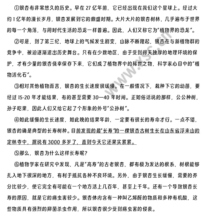 银杏树阅读理解题及答案(阅读答案三).webp