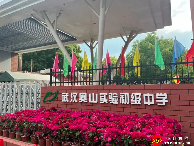2024年武汉奥山实验初级中学小升初招生计划及收费标准