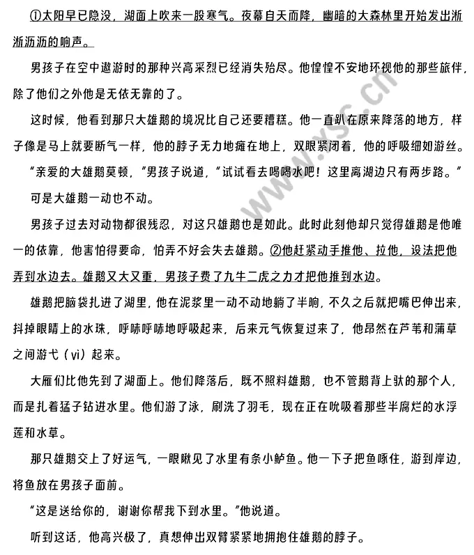 尼尔斯骑鹅历险记.webp