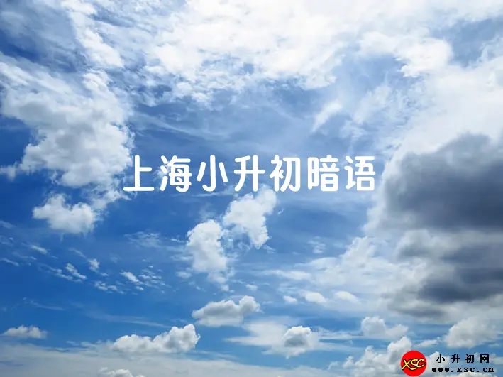 2024年上海小升初暗语揭秘-小默在职场