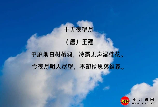 十五夜望月阅读理解题及答案(阅读答案五)