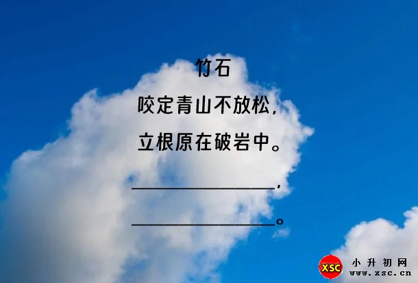 竹石阅读理解题及答案(阅读答案六)