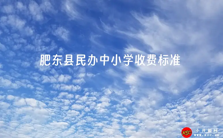 2023-2024年肥东县民办中小学收费标准(学费+住宿费)一览