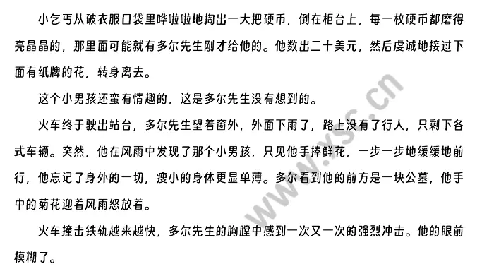 风雨中的菊花 (2).webp