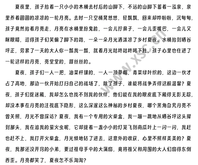 丢失的乡村夏夜 (2).webp