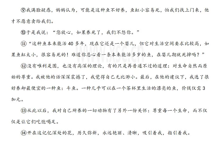 开在记忆深处的花