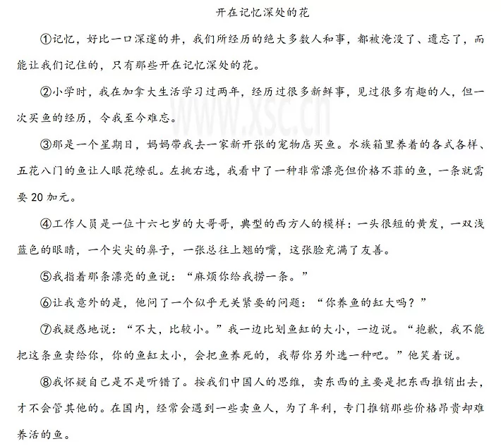 开在记忆深处的花