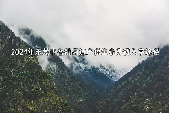 2024年东莞市各镇街道户籍生小升初入学途径(公办初中).jpg