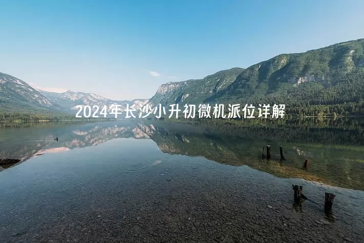 2024年长沙小升初微机派位详解(含流程及招生日程)