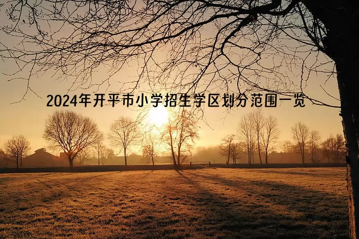 2024年开平市小学招生学区划分范围一览