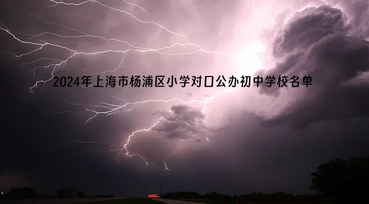 2024年上海市杨浦区小学对口公办初中学校名单(初中对口小学)