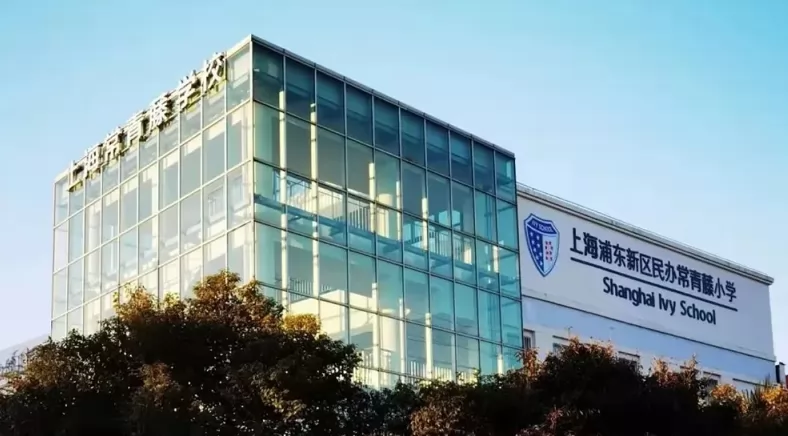 2024年上海浦东新区民办常青藤小学招生简章及收费标准