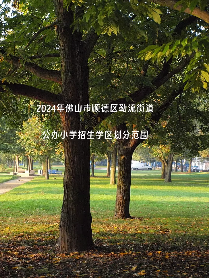 2024年佛山市顺德区勒流街道公办小学招生学区划分范围