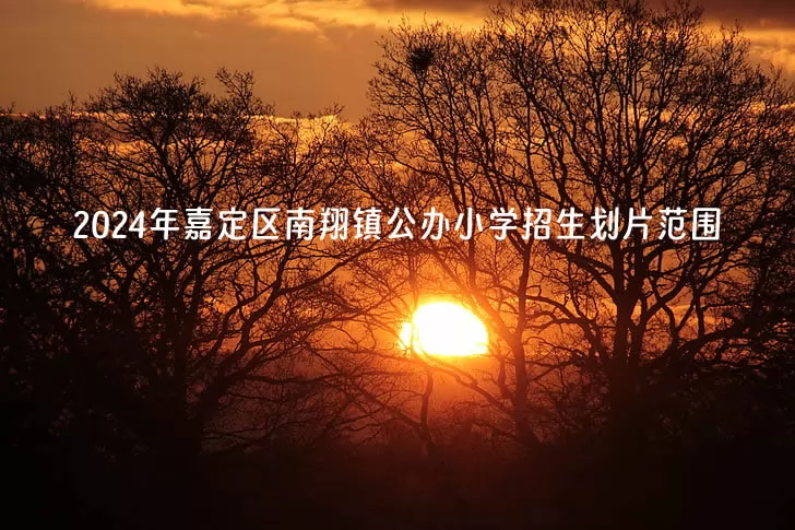 2024年上海市嘉定区南翔镇公办小学招生划片范围