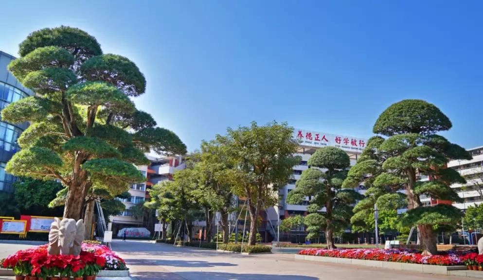 2024年顺德养正学校小学部招生简章(附收费标准)