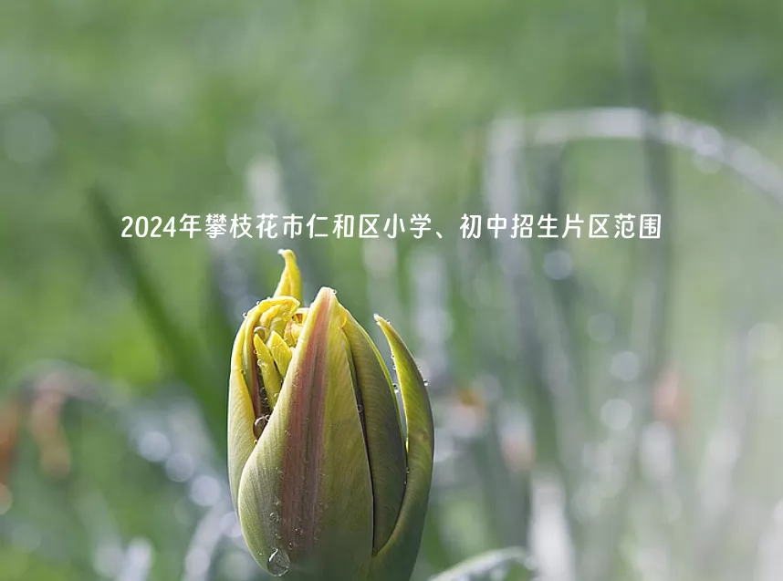 2024年攀枝花市仁和区小学、初中招生片区范围(学区范围)