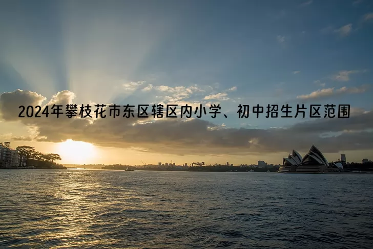 2024年攀枝花市东区辖区内小学、初中招生片区范围(学区范围)