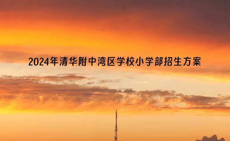 2024年清华附中湾区学校小学部招生方案