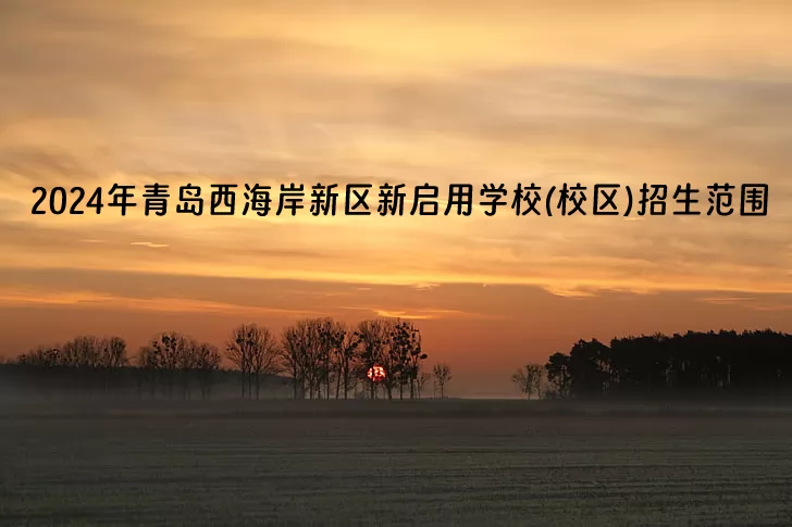2024年青岛西海岸新区新启用学校(校区)招生范围.jpg