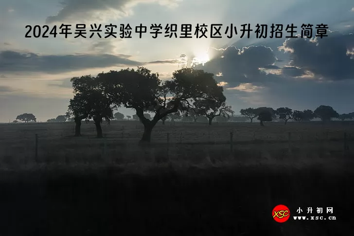 2024年湖州市吴兴实验中学织里校区小升初招生简章.jpg