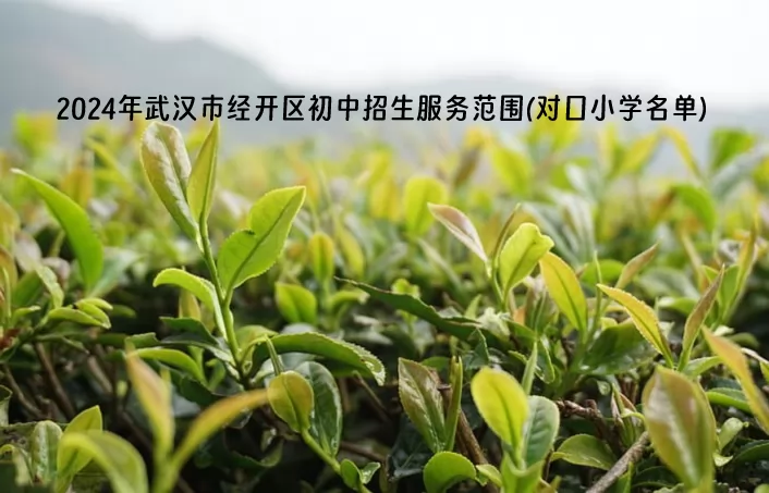 2024年武汉市经开区初中招生服务范围(对口小学名单).jpg