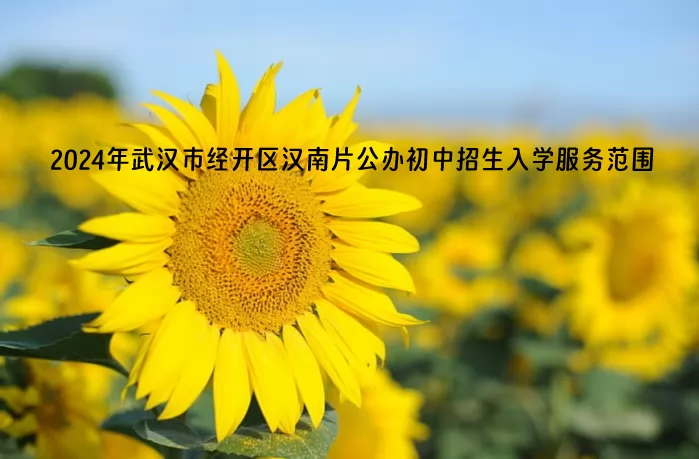 2024年武汉市经开区汉南片公办初中招生入学服务范围