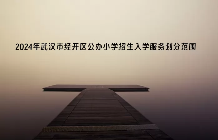 2024年武汉市经开区公办小学招生入学服务划分范围