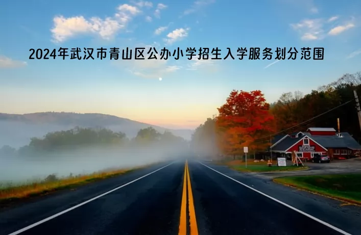 2024年武汉市青山区公办小学招生入学服务划分范围.jpg