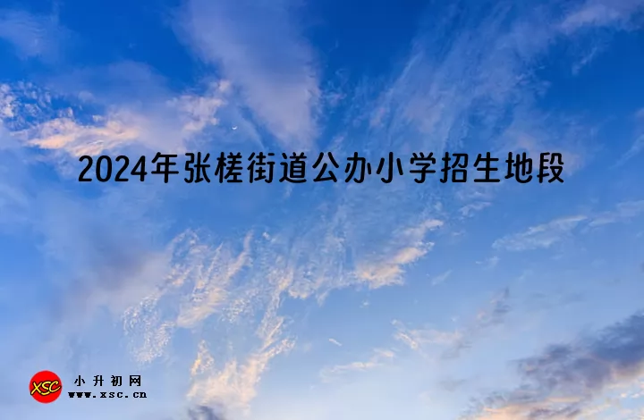 2024年禅城区张槎街道公办小学招生地段划片范围一览