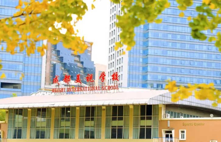 2024年成都美视学校招生简章及收费标准(小学、初中)