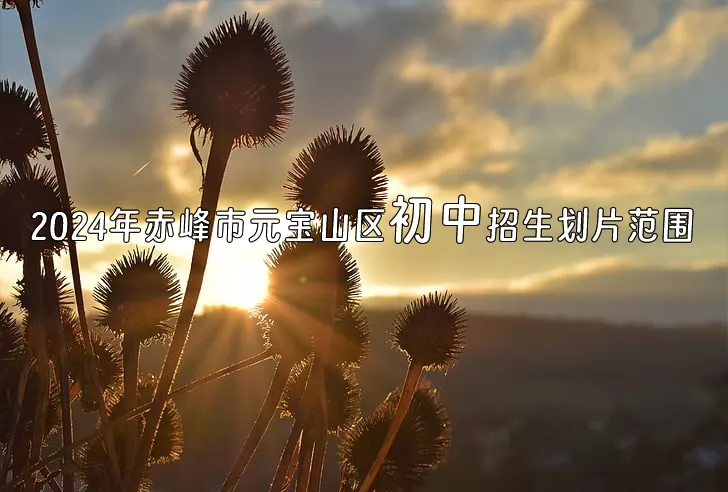 2024年赤峰市元宝山区初中招生划片范围(小升初学区划分)