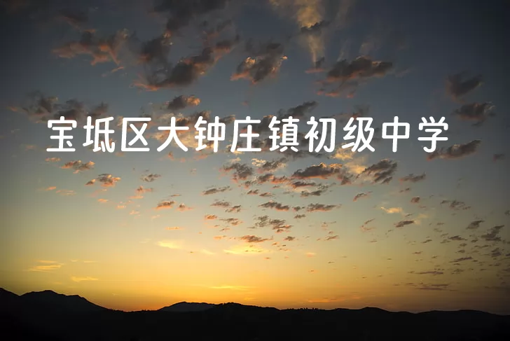 2024年宝坻区大钟庄镇初级中学招生简章(附招生范围)
