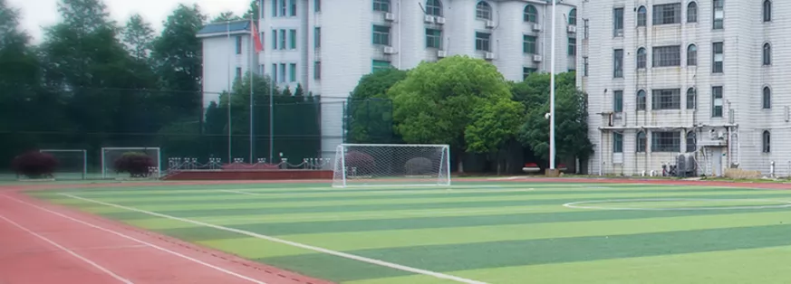 2024年武汉外国语学校(武汉实验外国语学校)小学部招生简章