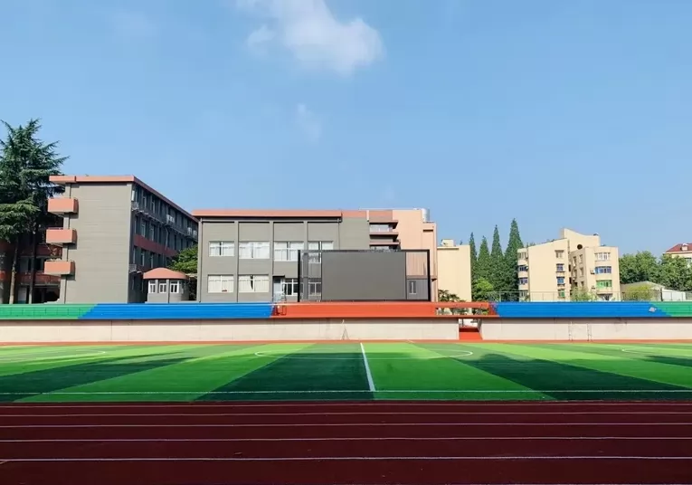 5302.png