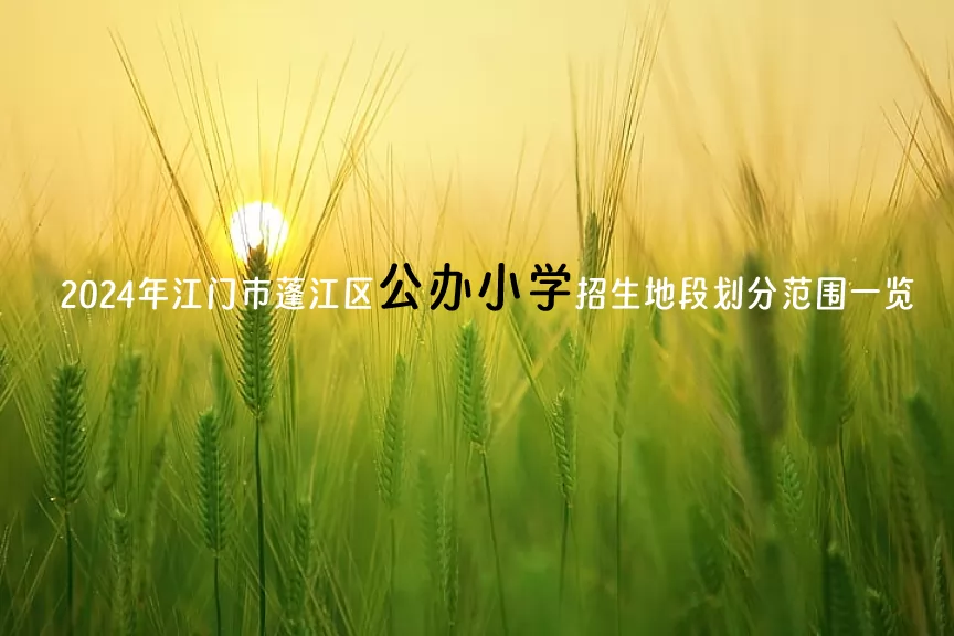 2024年江门市蓬江区公办小学招生地段划分范围一览