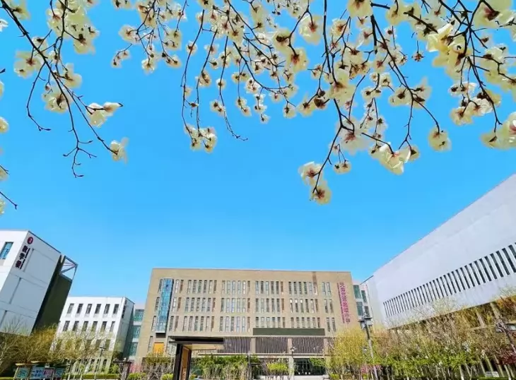 2024年天津市军粮城中学小升初招生简章(附招生范围)