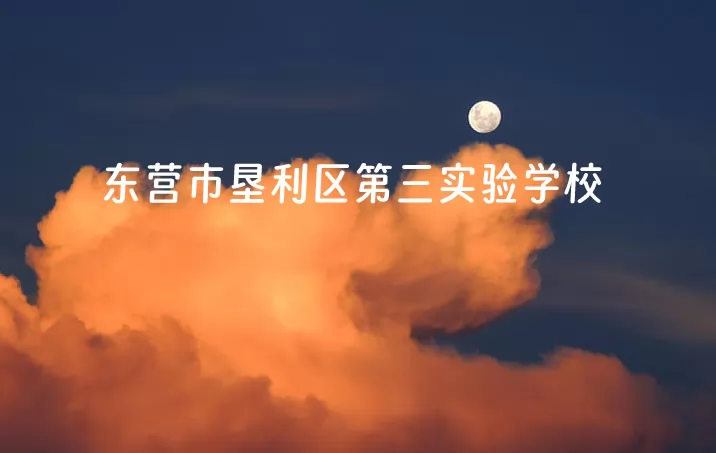东营市垦利区第三实验学校.jpg