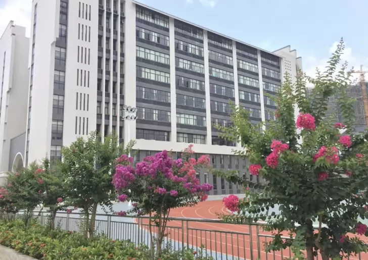 2024年湛江市博雅学校小升初招生简章(附收费标准)