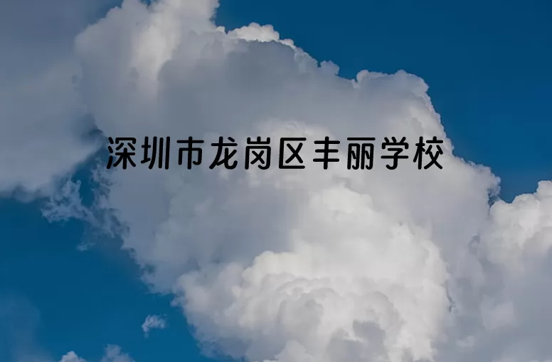 深圳市龙岗区丰丽学校.jpg