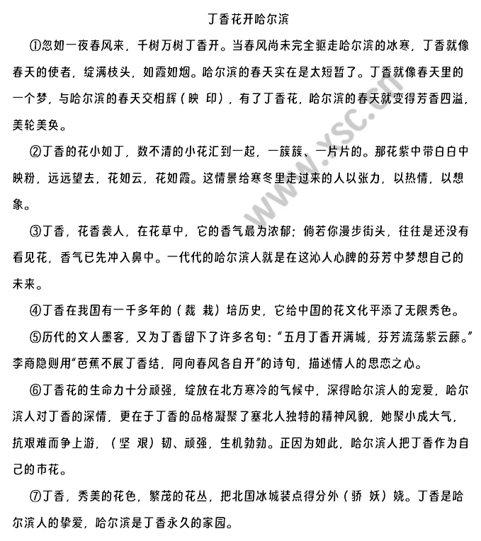 丁香花开哈尔滨阅读理解题及答案(阅读答案)